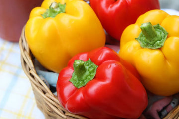 Red and yellow bell peppers in banglore