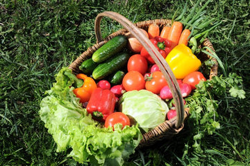 Varieties of Organic Vegetables in Bangalore