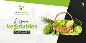 Elevate Your Meals with Bangalore's Organic Vegetables