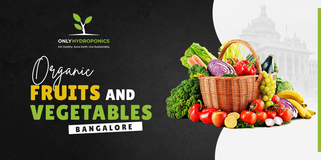 Experience the Goodness of Organic Fruits and Vegetables in Bangalore
