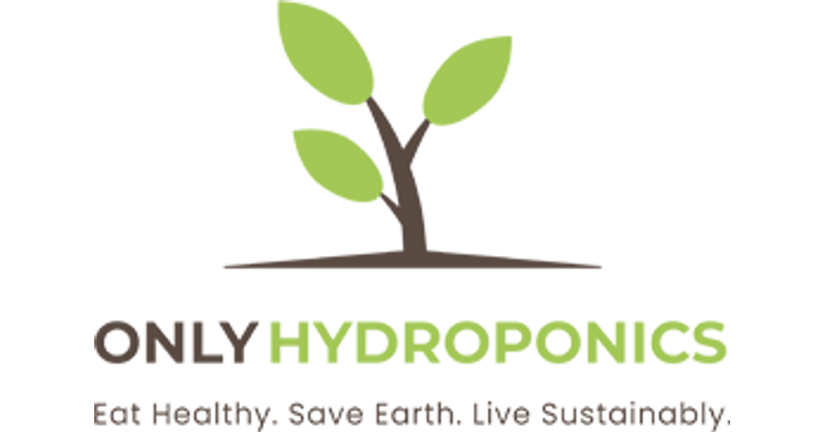 Hydroponic Vegetables Online Store Banglore
