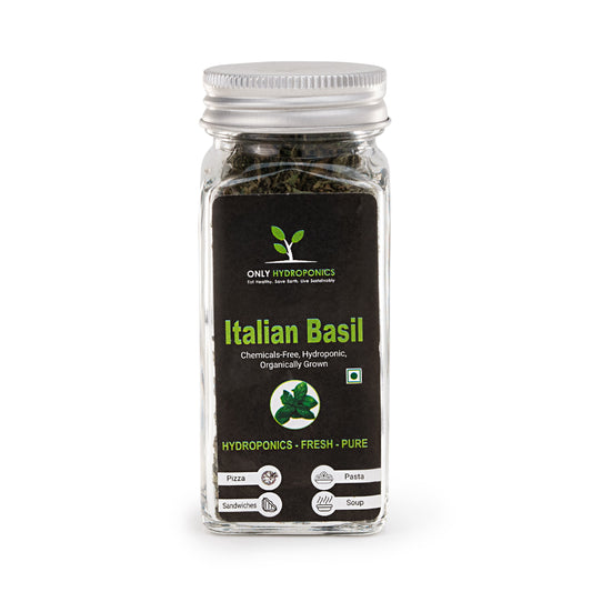Hydroponic Spice Mix - Italian Basil- Organically Grown