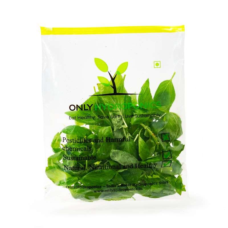 Basil - Italian