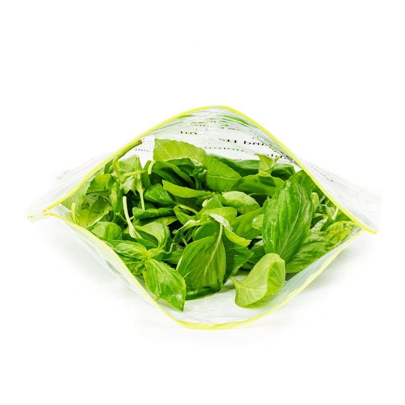 Basil - Italian