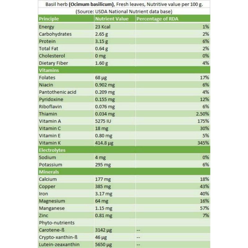 Hydroponic Basil Italian Chart