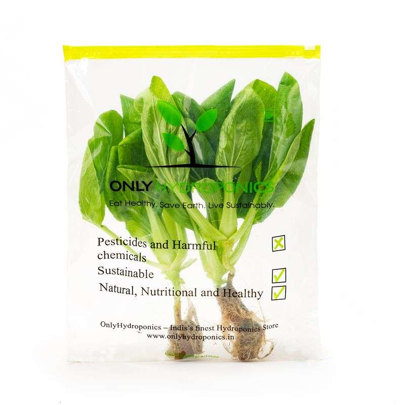 Hydroponic Bok Choy/Pok Choi