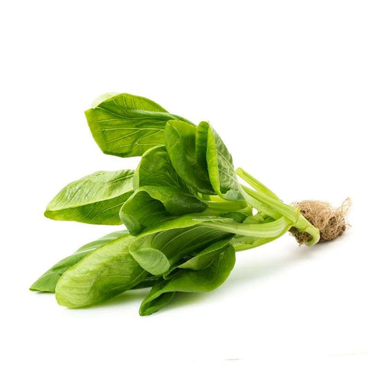 Hydroponic Bok Choy/Pok Choi
