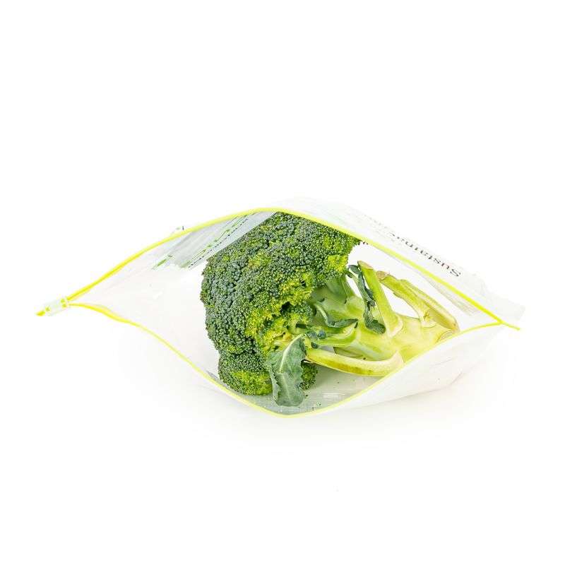 Hydroponic Broccoli