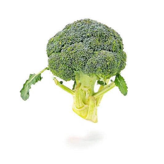 Hydroponic Broccoli