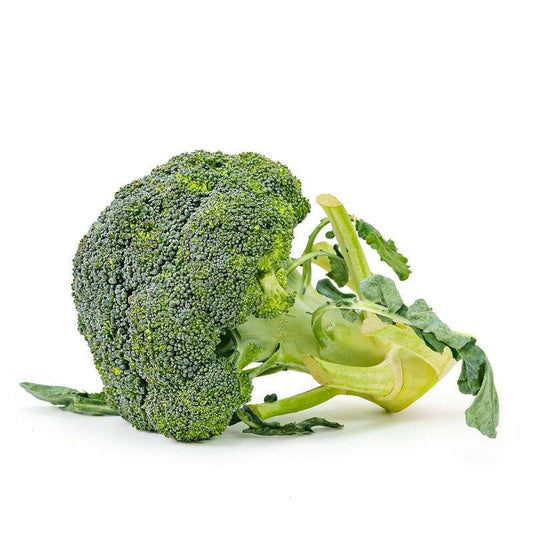 Hydroponic Broccoli