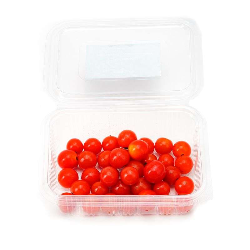 Hydroponic Cherry Tomato / Grape Tomato- Organically Grown