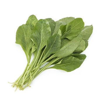 Hydroponic Spinach - Organically Grown