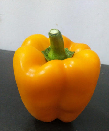 Hydroponic Orange fruity Bell peppers