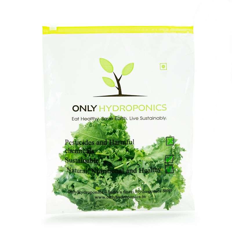 Hydroponic Kale Curly