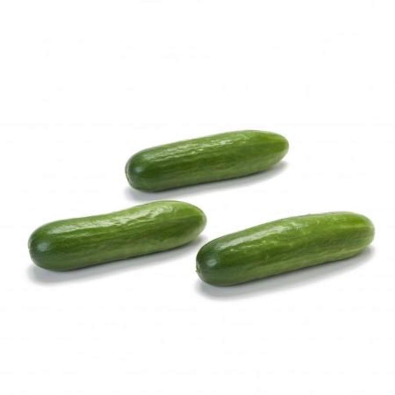 Hydroponic Snacking seedless Cucumber- Organically Grown
