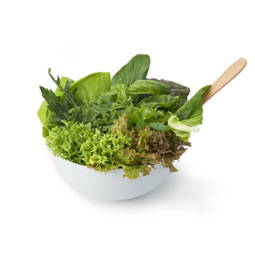 Hydroponic Smoothie Mix / Immunity booster Salad Mix- Organically Grown