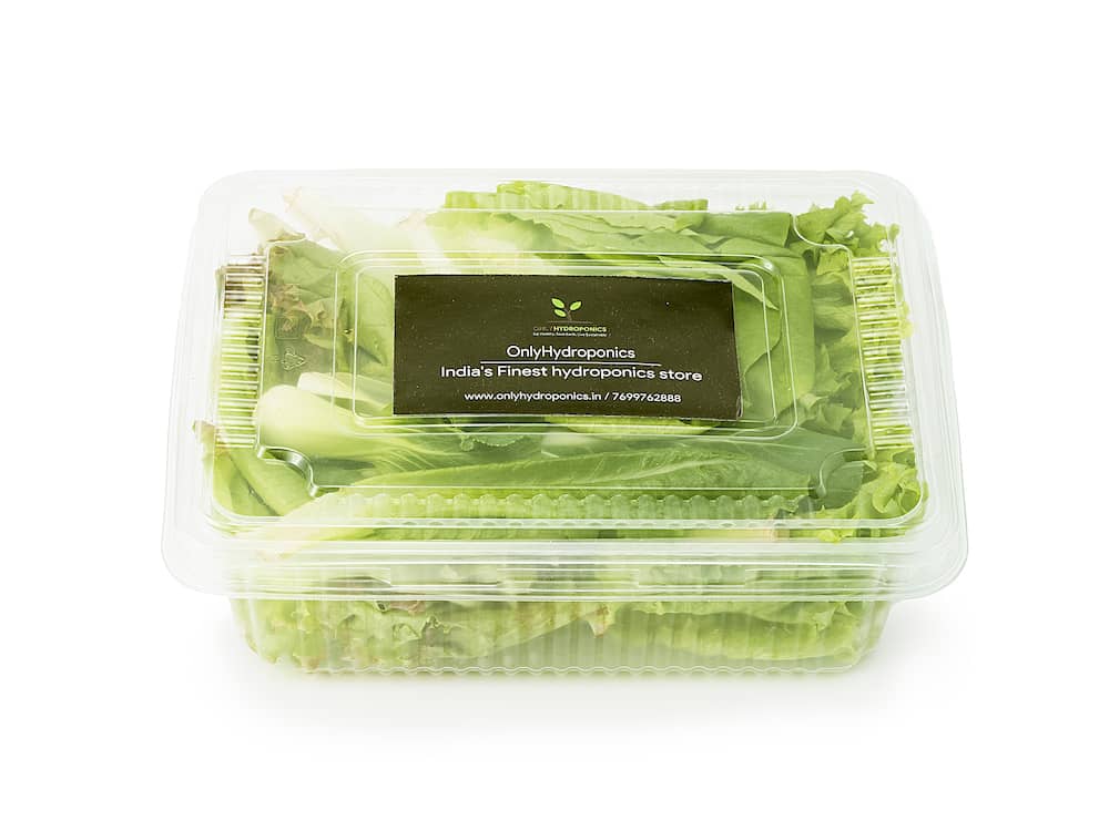 Hydroponic Lettuce Mix- Organically Grown