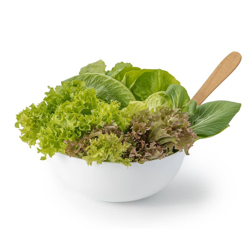 Hydroponic Lettuce Mix- Organically Grown
