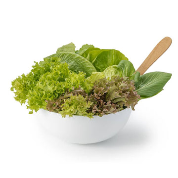 Hydroponic Lettuce Mix- Organically Grown