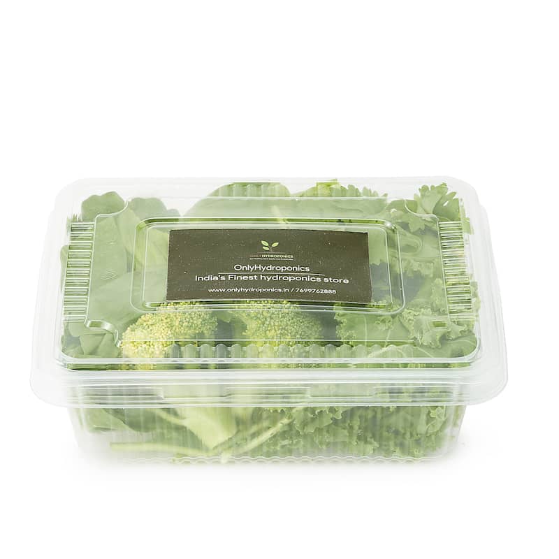 Hydroponic Soup Mix- Organically Grown