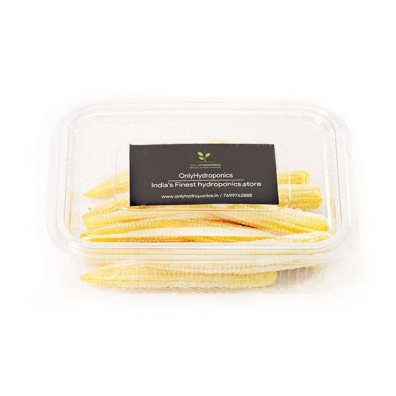 Baby Corn