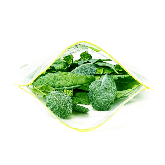 Hydroponic Kale - Lacinato / Italian Tuscan (King of super foods)